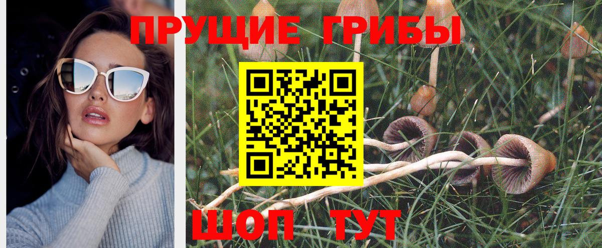 Галлюциногенные грибы прущие грибы Шатура