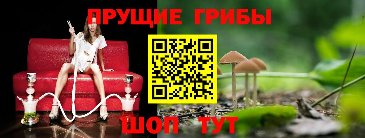 Галлюциногенные грибы MAGIC MUSHROOMS  Галлюциногенные грибы GOLDEN TEACHER  Шатура  Вход с VPN 
